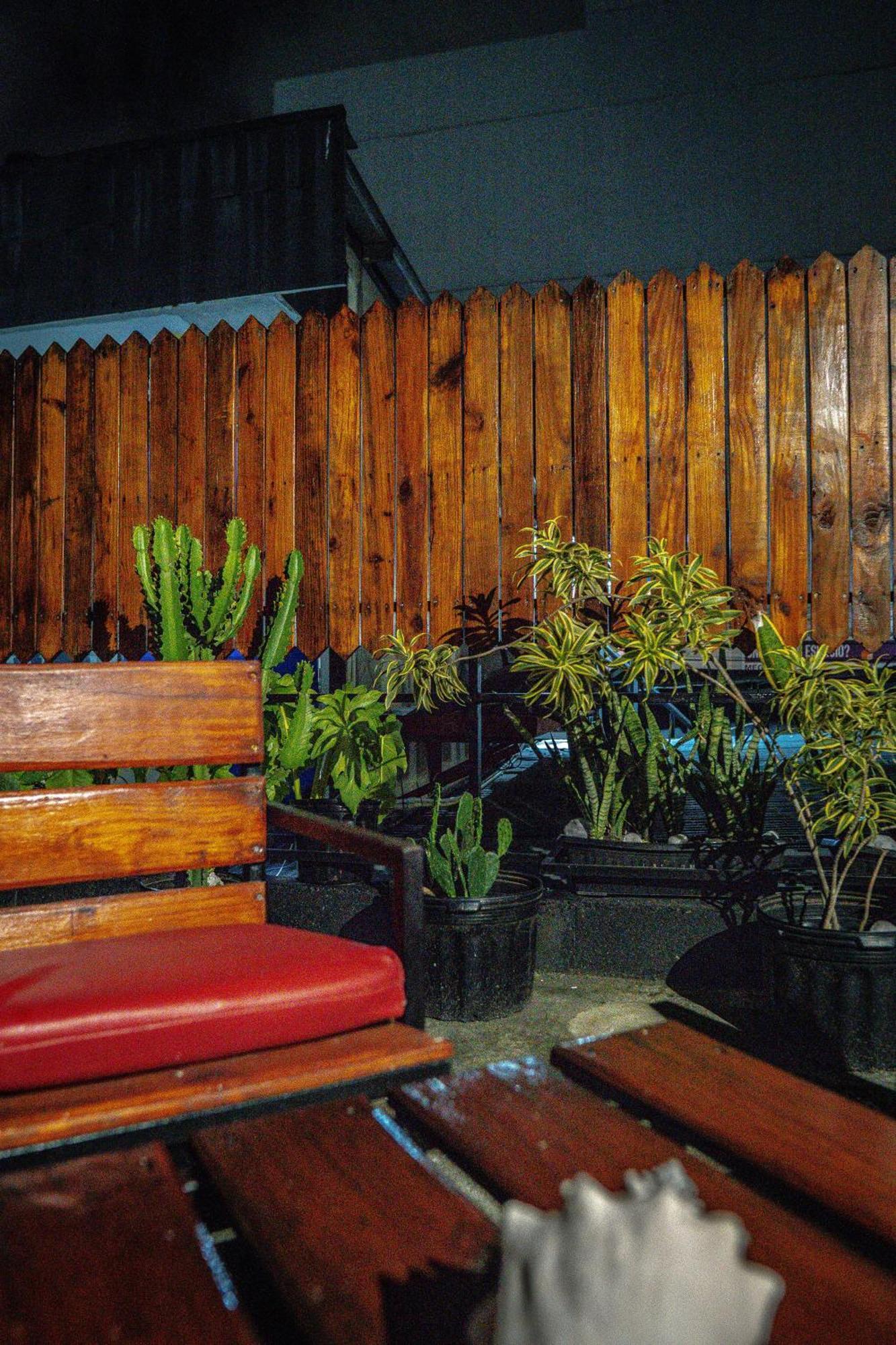 Eden'S Garden Hostel Panama Zewnętrze zdjęcie
